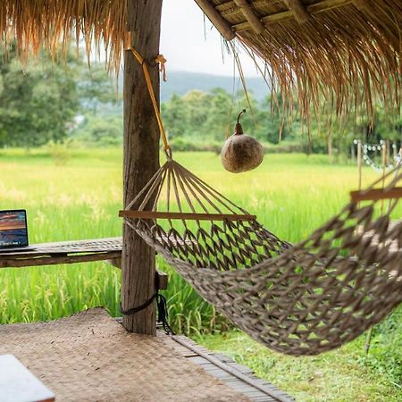 Camp View Mountain - Sell Experience By Paddy Fields Haven - Natures Nest Pai Exterior foto