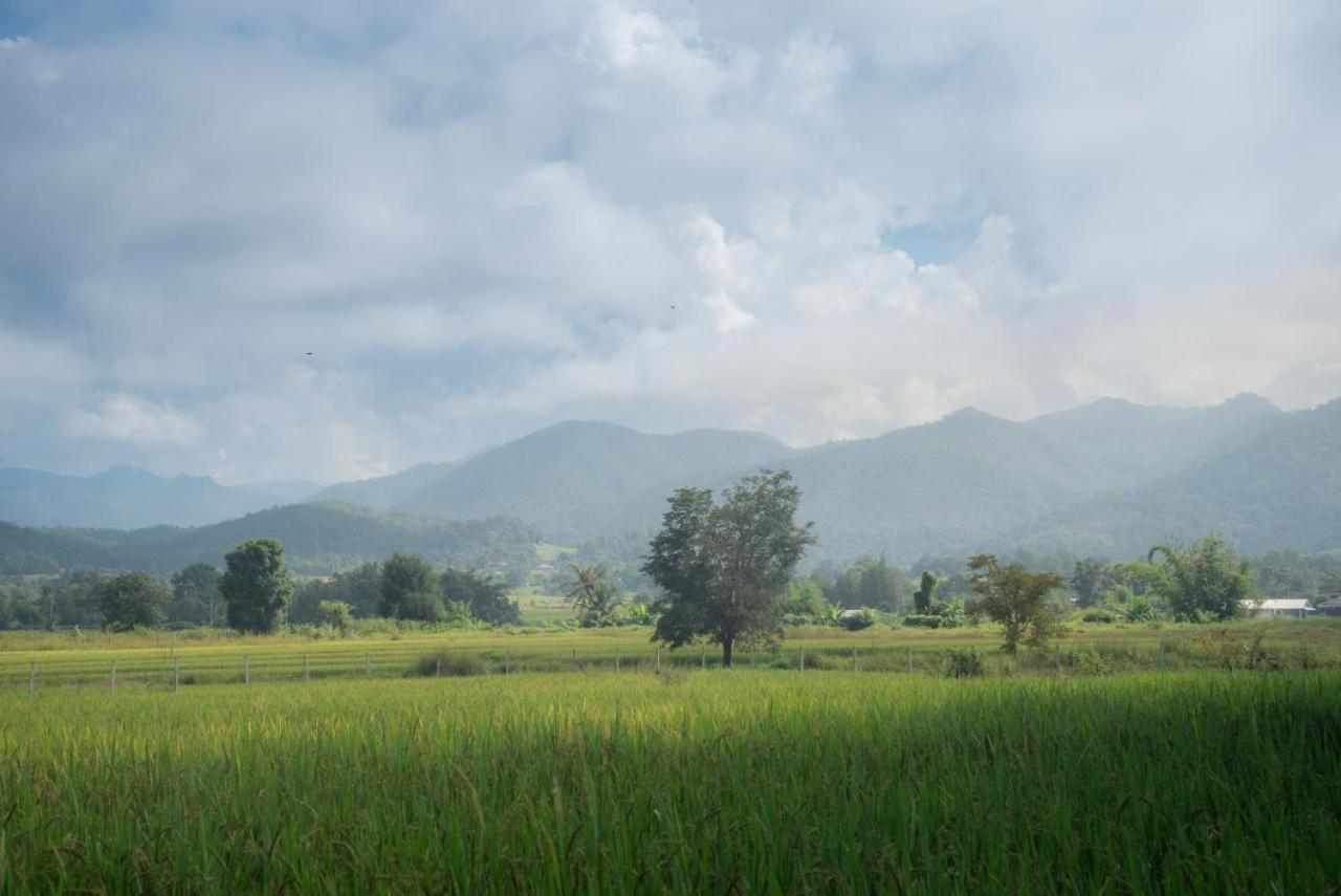 Camp View Mountain - Sell Experience By Paddy Fields Haven - Natures Nest Pai Exterior foto
