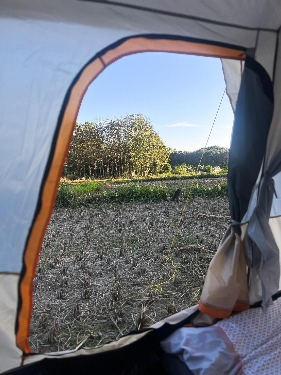 Camp View Mountain - Sell Experience By Paddy Fields Haven - Natures Nest Pai Exterior foto